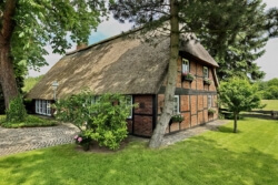 Reetdach - Haupthaus